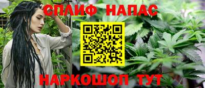 скорость Пугачёв