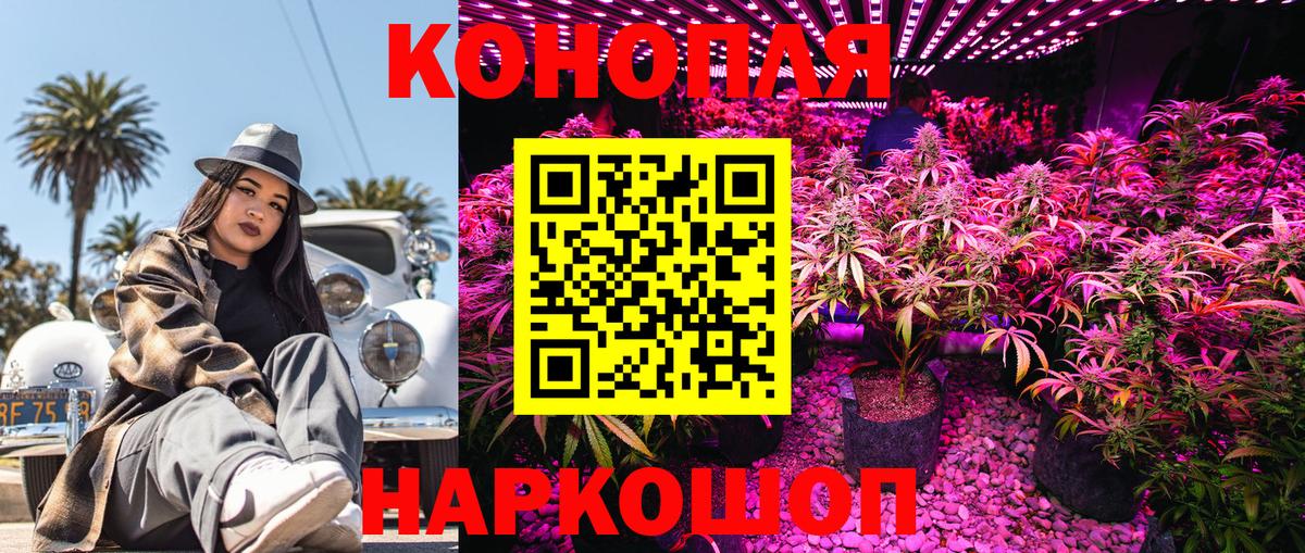 Конопля семена  Шишки марихуана THC 21%  Дивногорск  Вход с VPN 